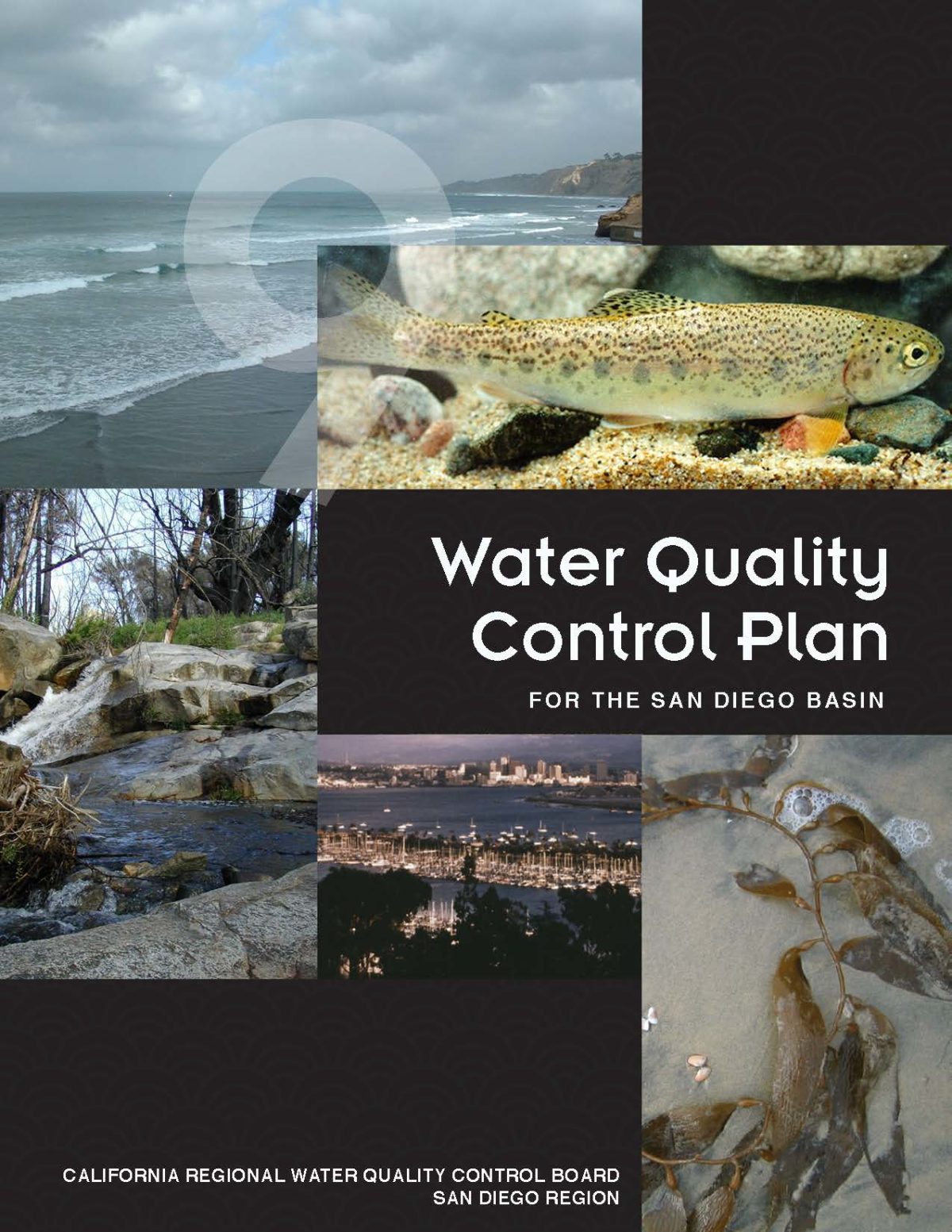Water Quality Control Plan for the San Diego region