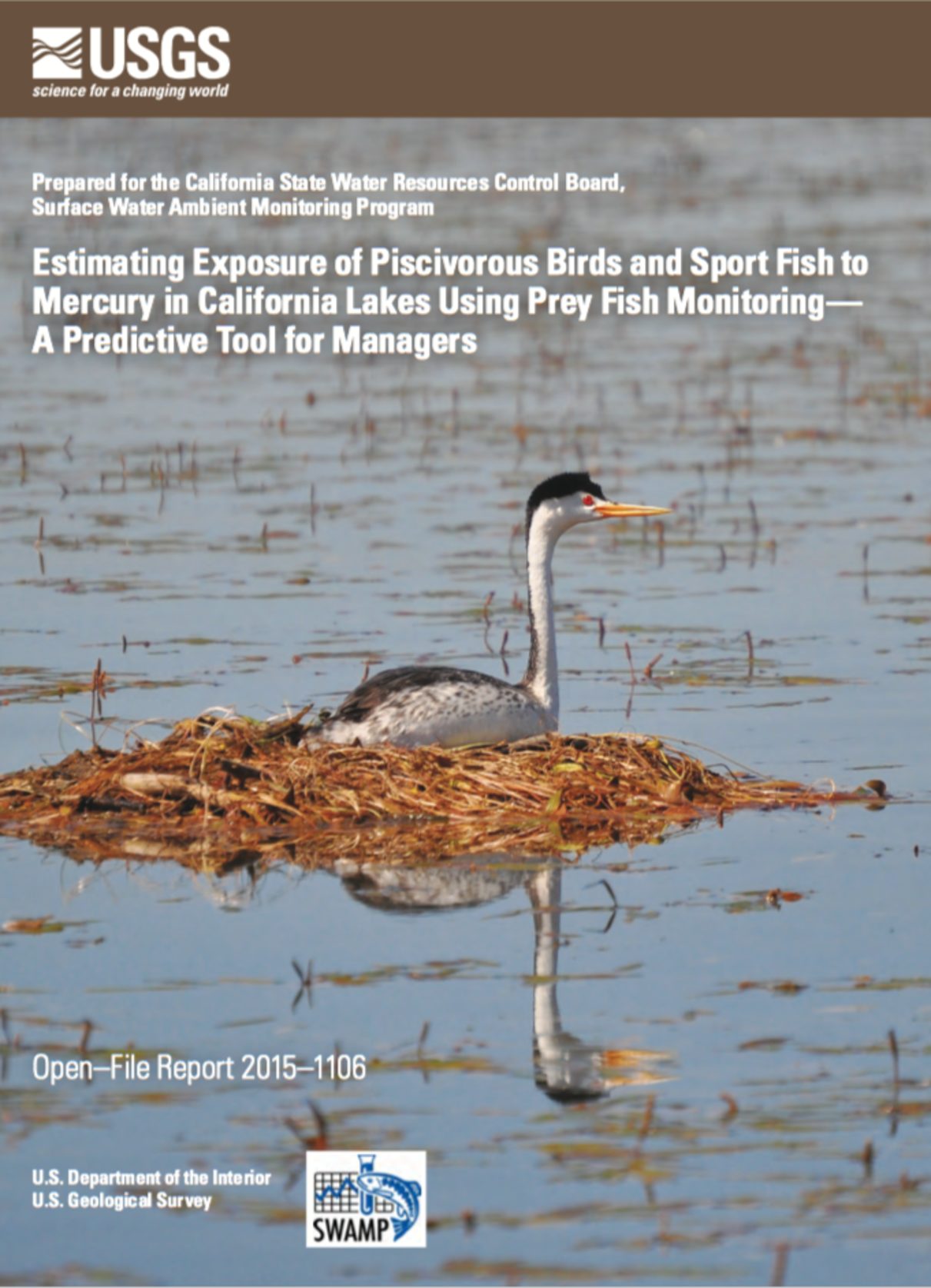 Estimating Exposure of Piscivorous Birds and Sport Fish to Mercury in California Lakes Using Prey Fish Monitoring—A Predictive Tool for Managers
